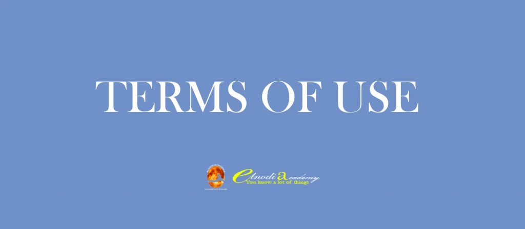 TREMS OF USE