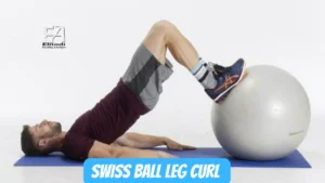 Swiss Ball Leg Curl