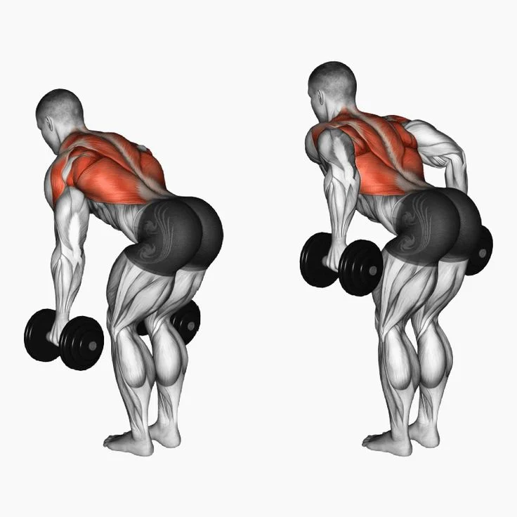 BENT-OVER DUMBBELL ROW