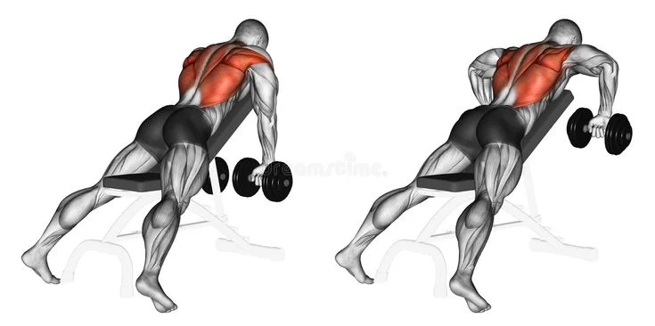 Back Exercise with Dumbbells