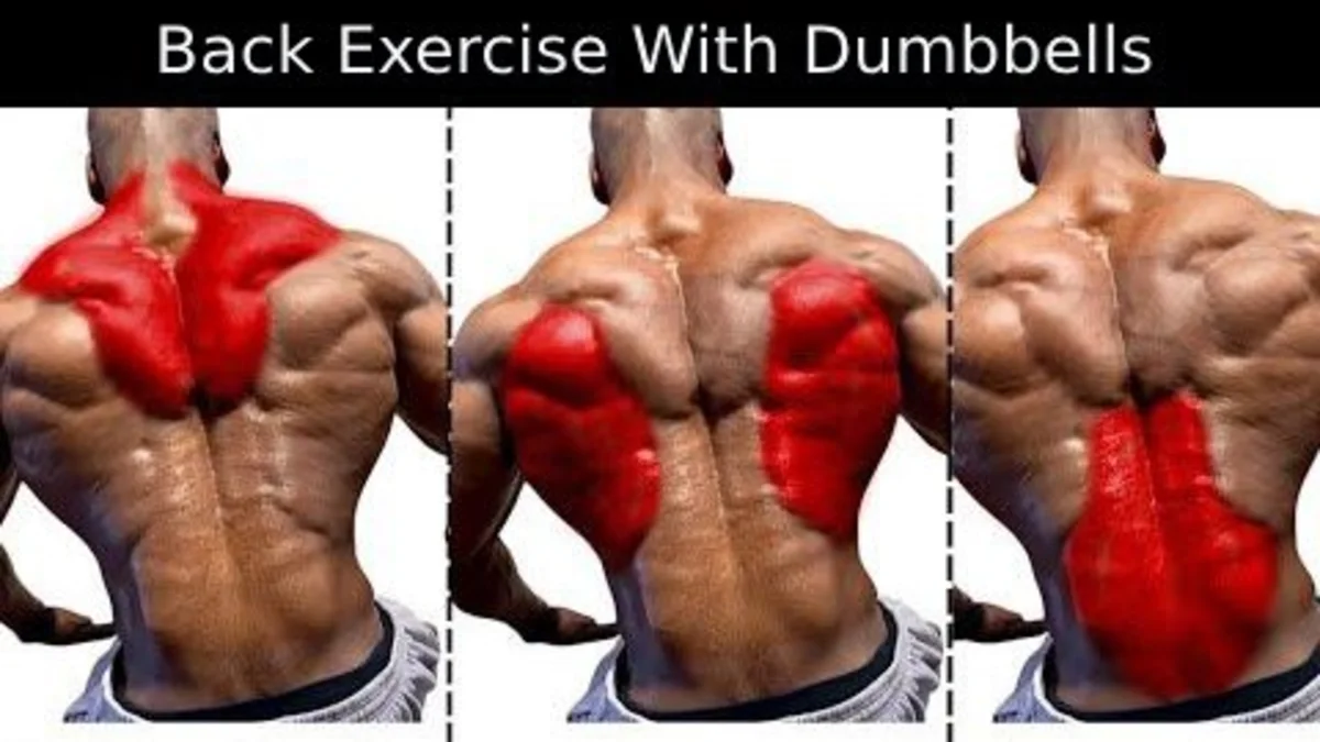 Back Exercise with Dumbbells
